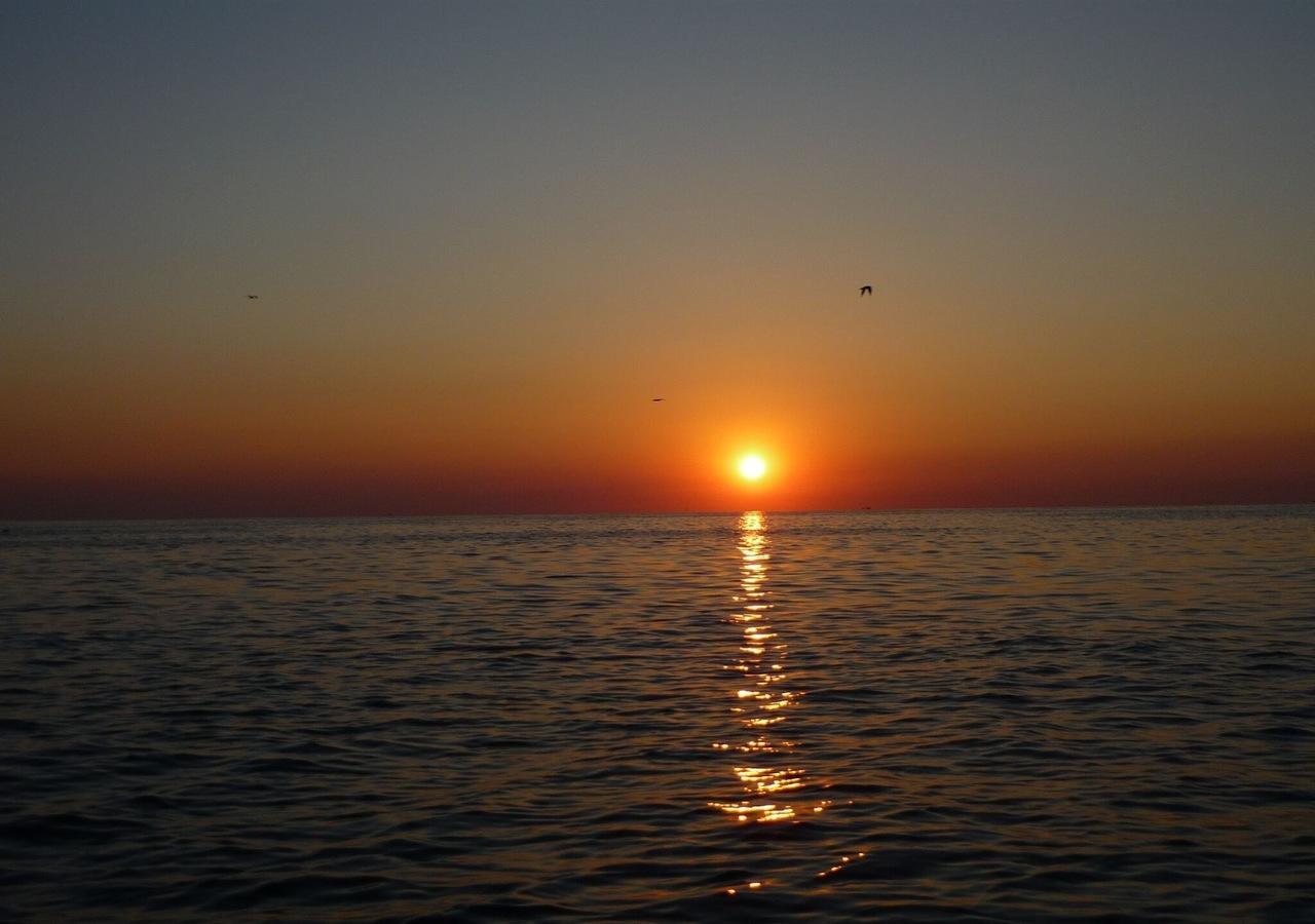 San Giorgio Savoia Hotell Bellaria-Igea Marina Eksteriør bilde